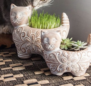 Ten Thousand Villages Kitty Planter
