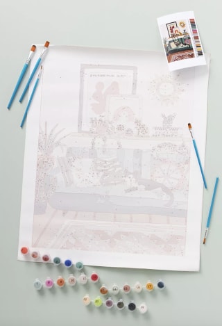 Adult Paint-By-Numbers Kit