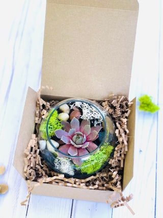 DIY Craft, Craft Kits for Adults, Personalized Gift, DIY Terrarium Kit Succulent Terrarium, Home Decor Craft Kit, Do It Yourself