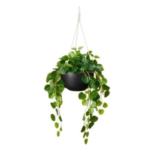 24" x 14" Faux String of Hearts Plant in Ceramic Pot Black - Hilton Carter for Target