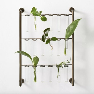 Metal Hanging Stem Plant Stand