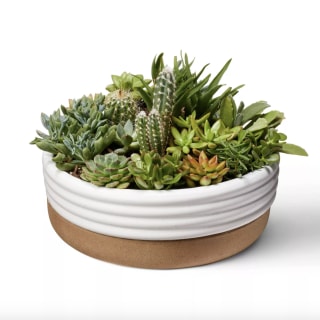 Ribbed Ceramic Stoneware Planter