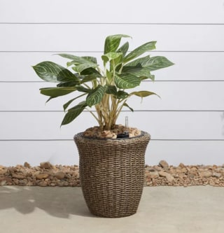 Vifah Ocala Curved Oval Wicker Smart Self-Watering Planter