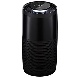 Instant Air Purifier (Large)