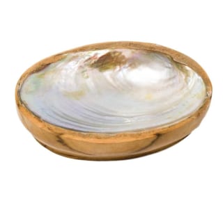 Poppy + Sage Teak Shell Soap Dish
