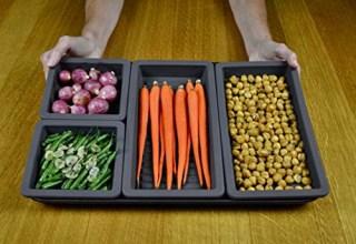 Gear Gurus Baking Pan Dividers