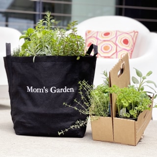 The Gardenuity Garden