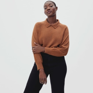 Everlane Cashmere Collared Sweater