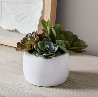 Faux Potted Succulent Arrangement