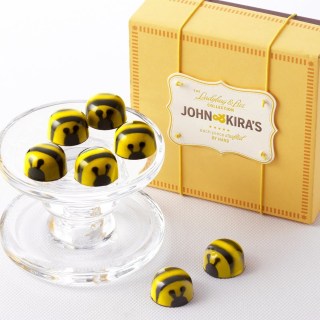 Chocolate Honey Caramel Bees