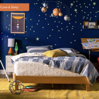 Nest Bedding Love & Sleep Mattress