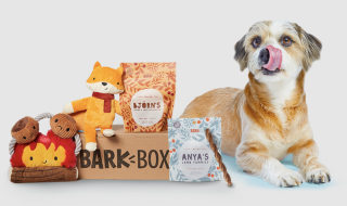Gifts for puppy owners cheap