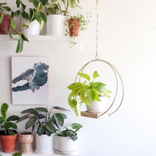 Braid and Wood Planters