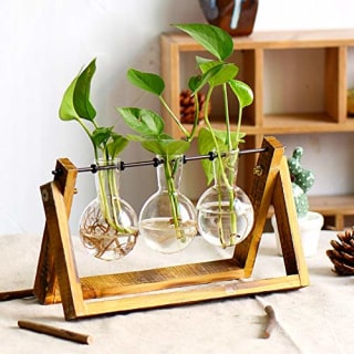 Plant Terrarium with Wooden Stand