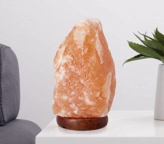 The Body Source Store Salt Lamp