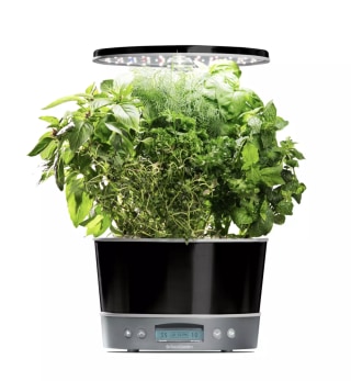 AeroGarden Harvest Elite 360 with Seed Starting System
