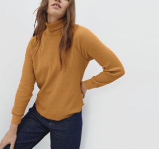 Everlane The Organic Cotton Turtleneck Waffle Tee