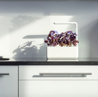 Smart Garden 3 Self Watering Indoor Garden