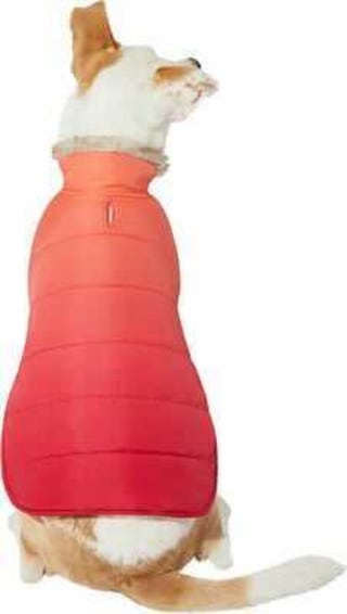 Ombre Dog & Cat Puffer Coat