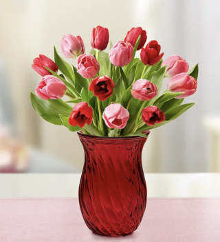 Sweetest Love Tulips