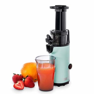 Deluxe Compact Masticating Slow Juicer