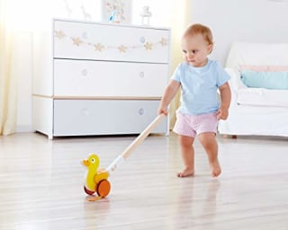 Hape Ducky Push Pal