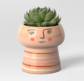 Opalhouse Stoneware Family Planter