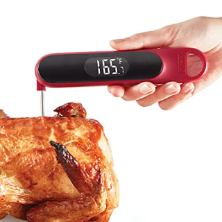 Dash Precision Quick-Read Meat Thermometer