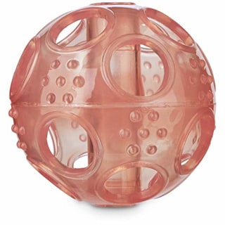 Little Chews Treat Dispenser Ball Puppy Toy in Assorted Colors