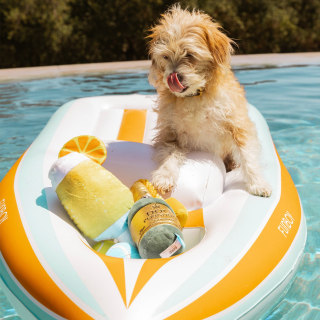 Yacht Dog Float
