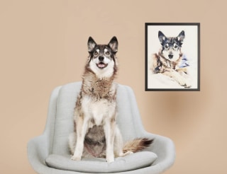 Custom Pet Portraits