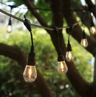 48' LED Dual Filament Vintage String Lights