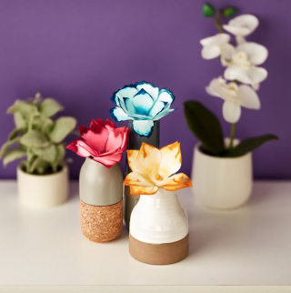 Steam Paper Flower Science Coloring Kit