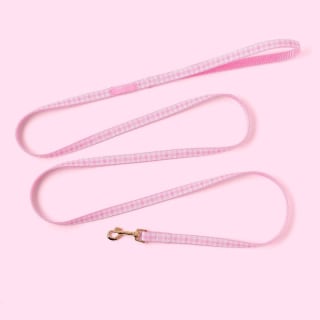 Stoney Clover Lane x Target Gingham Dog Leash