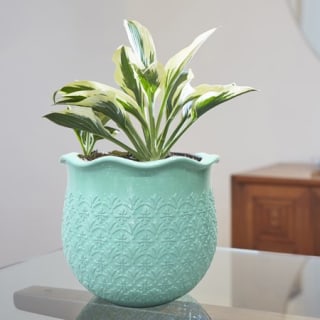 12" Geo Resin Planter