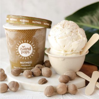 Island Pops Ice Cream & Sorbet Combo