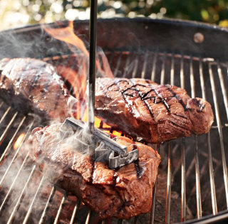 Williams Sonoma Monogrammed Forged Steak Brand