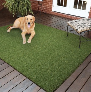 Pet 6 ft. x 7.5 ft. Green Artificial Grass Rug