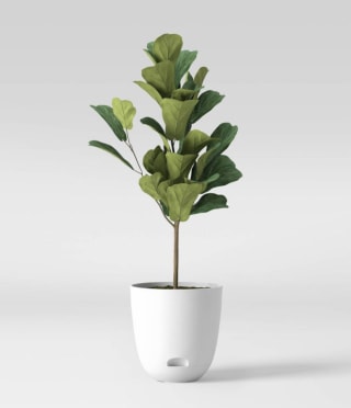 Indoor/Outdoor Self-Watering Planter