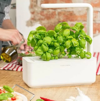 Smart Garden Grow Kit