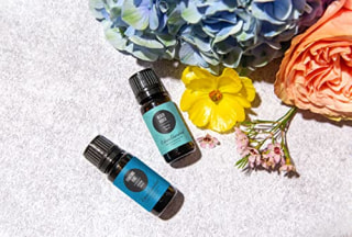 Edens Garden Beach House Essential Oil Synergy Blend, 100% Pure Therapeutic Grade (Undiluted Natural/ Homeopathic Aromatherapy Scented Essential Oil Blends) 10 ml