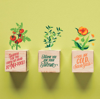 Appreciation Plant Cube