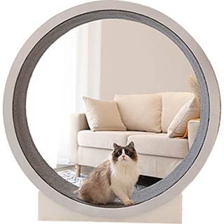 Eroolu Cat Treadmill