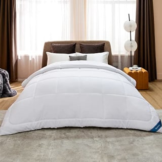 Bedsure Queen Comforter Duvet Insert - Quilted White Comforters Queen Size, All Season Down Alternative Queen Size Bedding Comforter with Corner Tabs