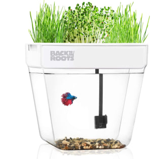 Water Garden Self-Cleaning Fish Tank