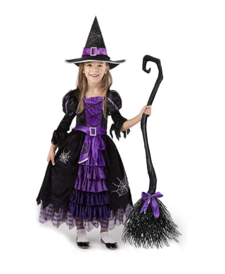 Fairytale Witch Costume