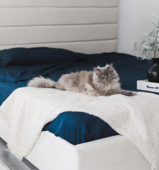 Mariner Blue Sheet Set