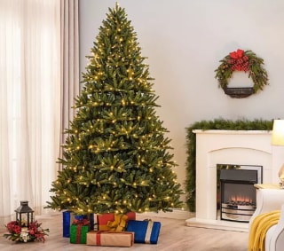 7.5' Pre-Lit Bristle Fir Tree