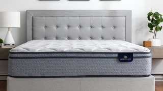 Medium Plush Mattress