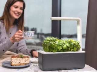 Click & Grow Smart Garden 3 Self Watering Indoor Garden